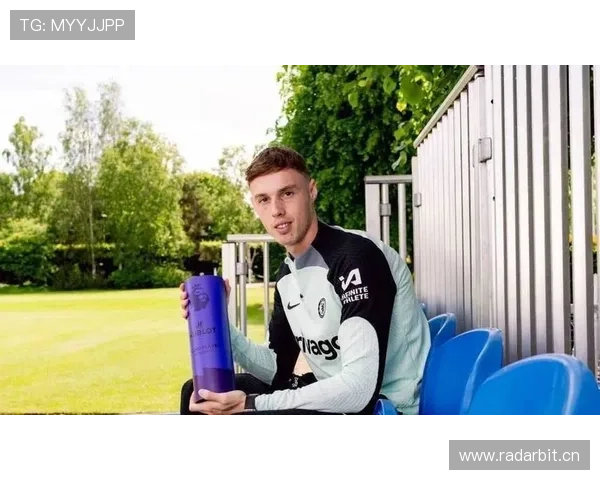 帕尔默真实水平如何体现？